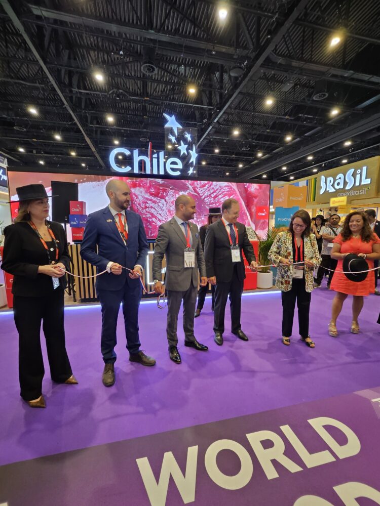 Chile Sees Stronger and More Diverse Exports to the Middle East as Part of a Long-Term Strategy