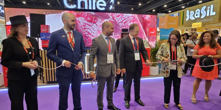 Chile Sees Stronger and More Diverse Exports to the Middle East as Part of a Long-Term Strategy